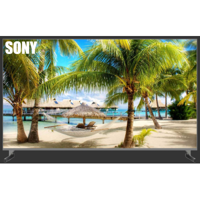SONY