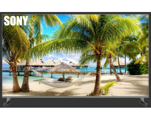 SONY (0)