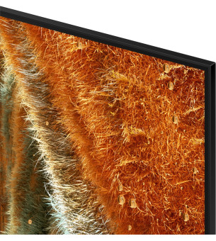 Телевізор Samsung QE55QN77F (EU) Стандартизація - Західна Європа, Smart IPTV/VPN