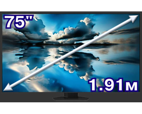 Телевізори 75 - 77 дюймів (54)